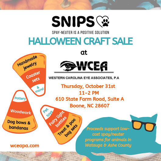 SNIPS Halloween Craft Sale at WCEA