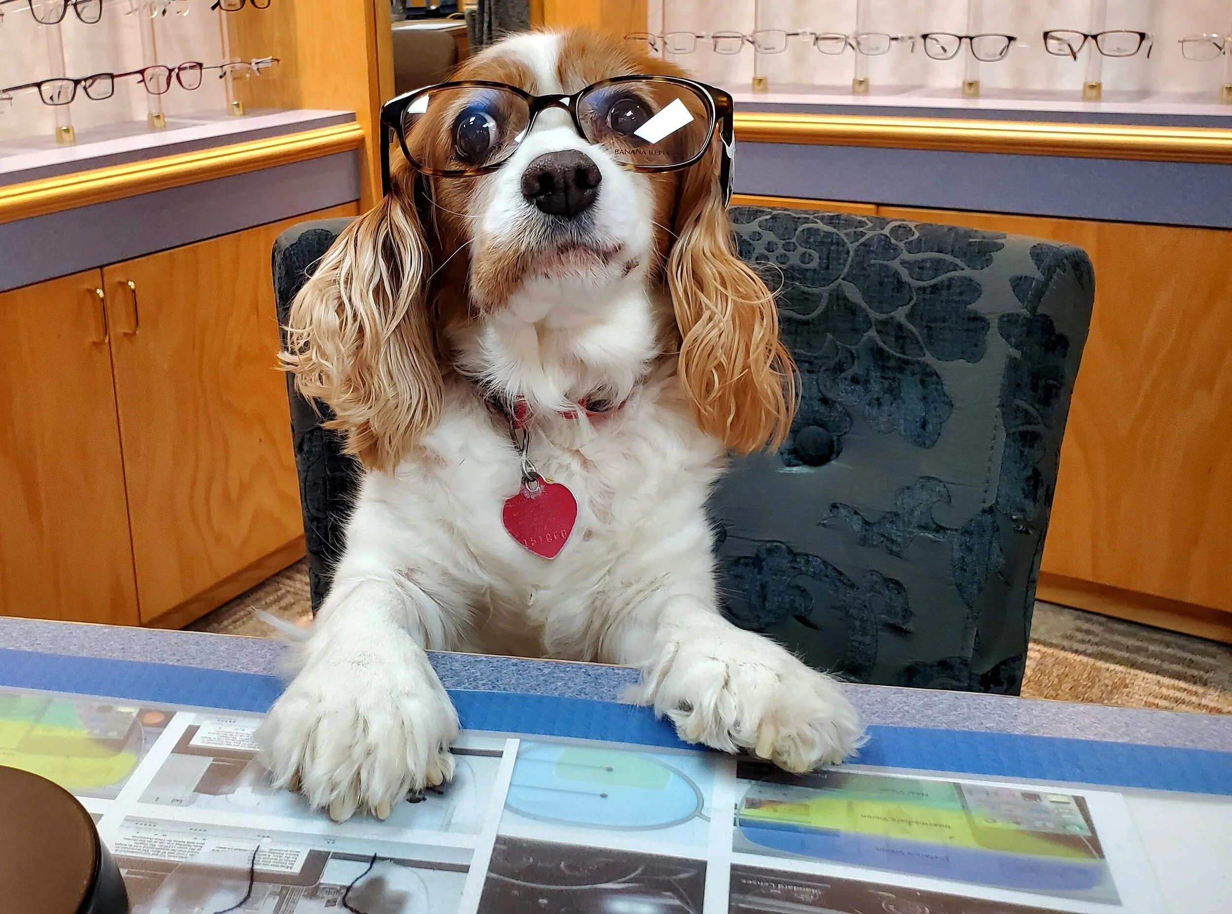 SAVE THE DATE FOR OUR SNIPS SALE AT WCEA!