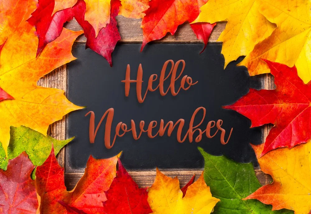 November Optical Specials 