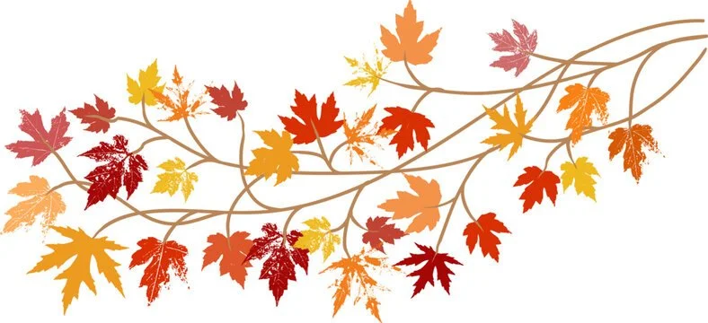 Fall Optical Specials 