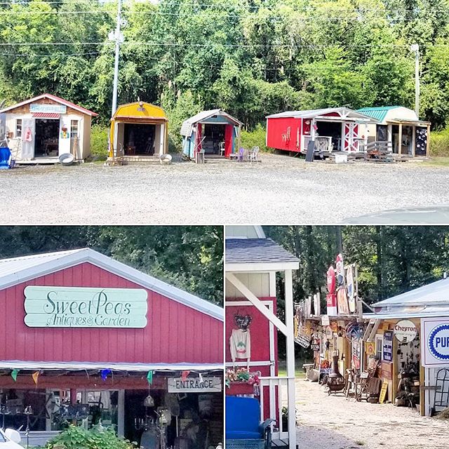 Just stumbled upon this amazing and sprawling vintage treasure trove! 
#vintage #treasure #sweetpeas #trianglenc #youngsvillenc #adventure