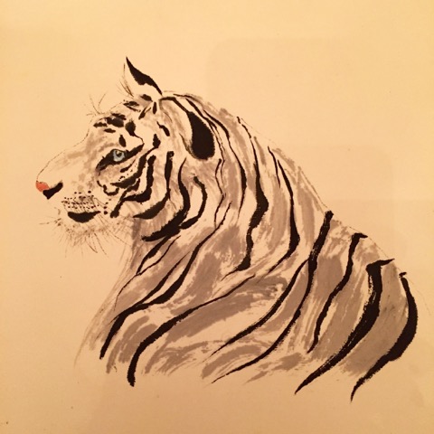 G Stewart tiger profile.jpeg