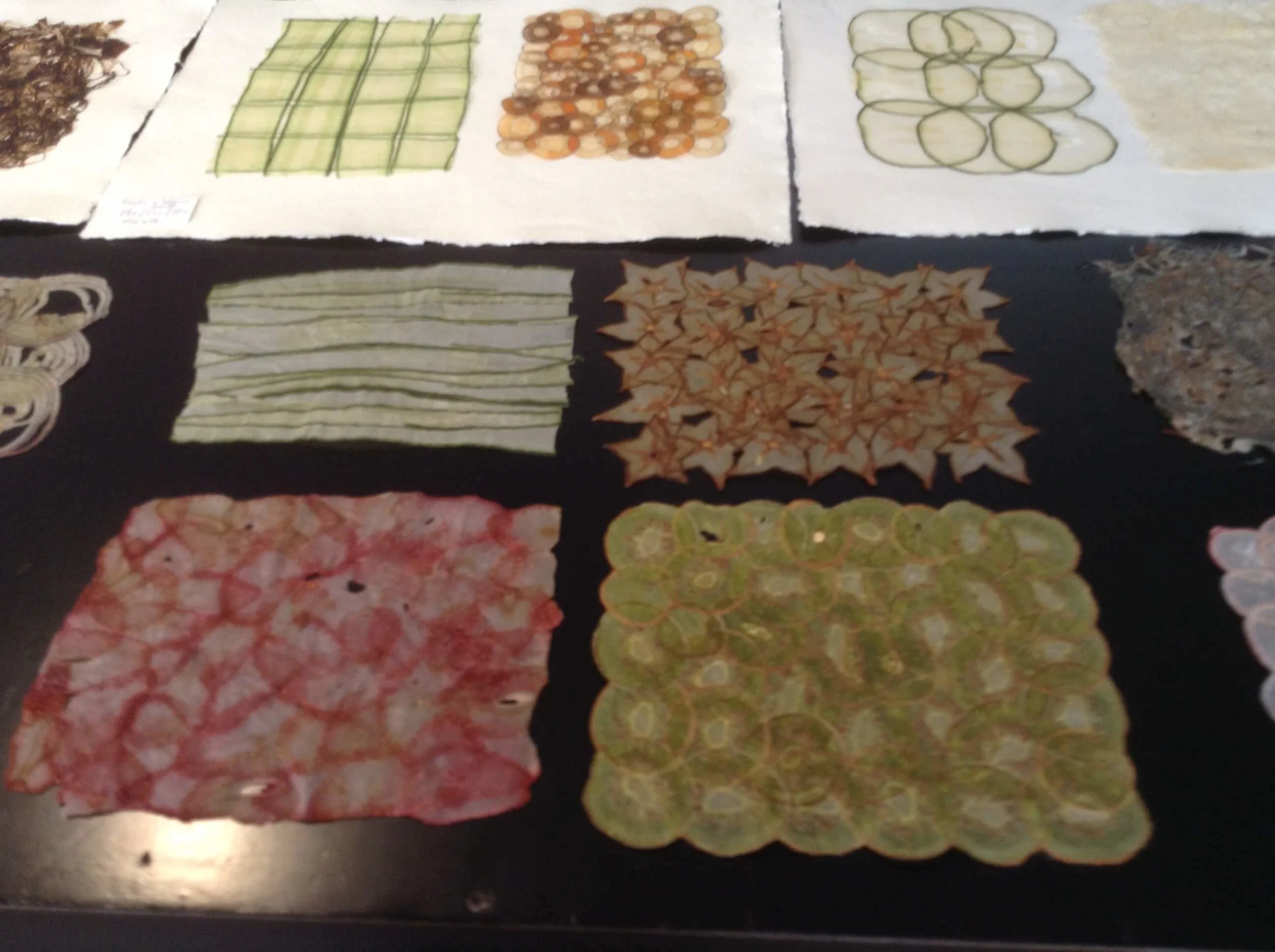 Jean-Michel Letellier's fine fruit & vegetable papers