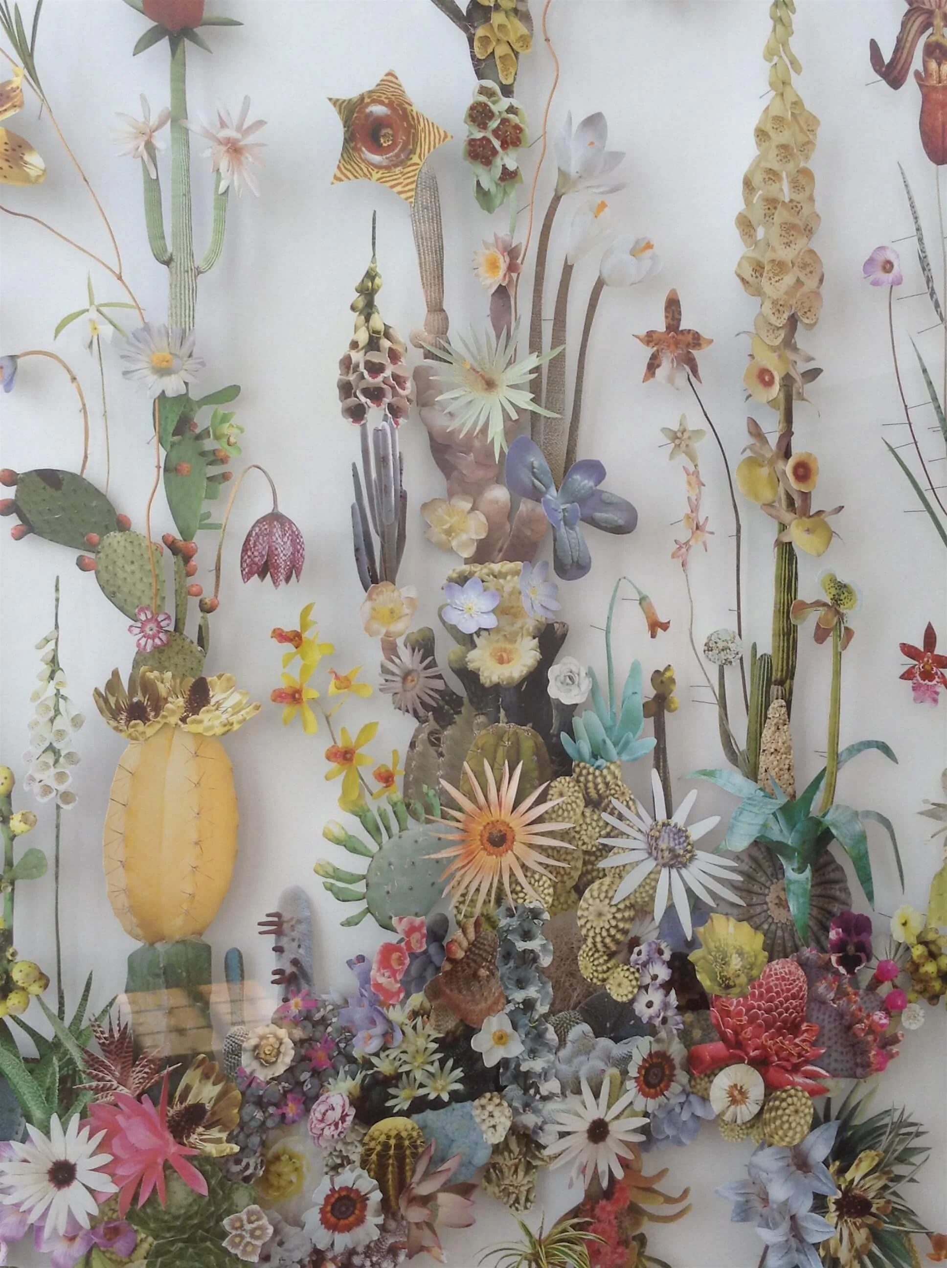 Anne ten Donkelaar's paper flowers