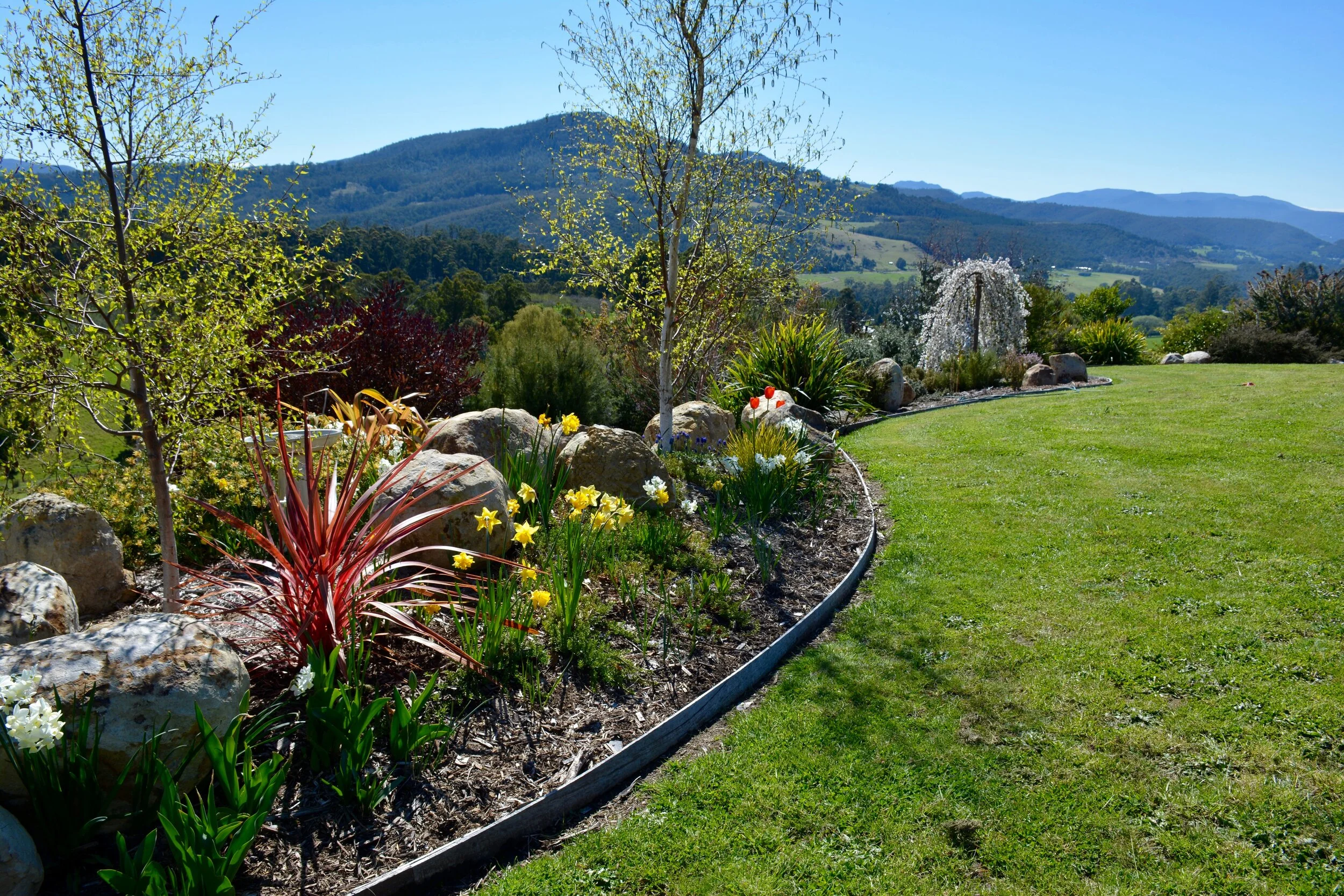 Spring in the garden.jpg