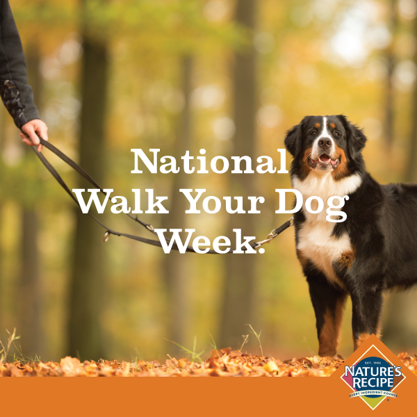 1-Walk-Your-Dog-Week-final.png