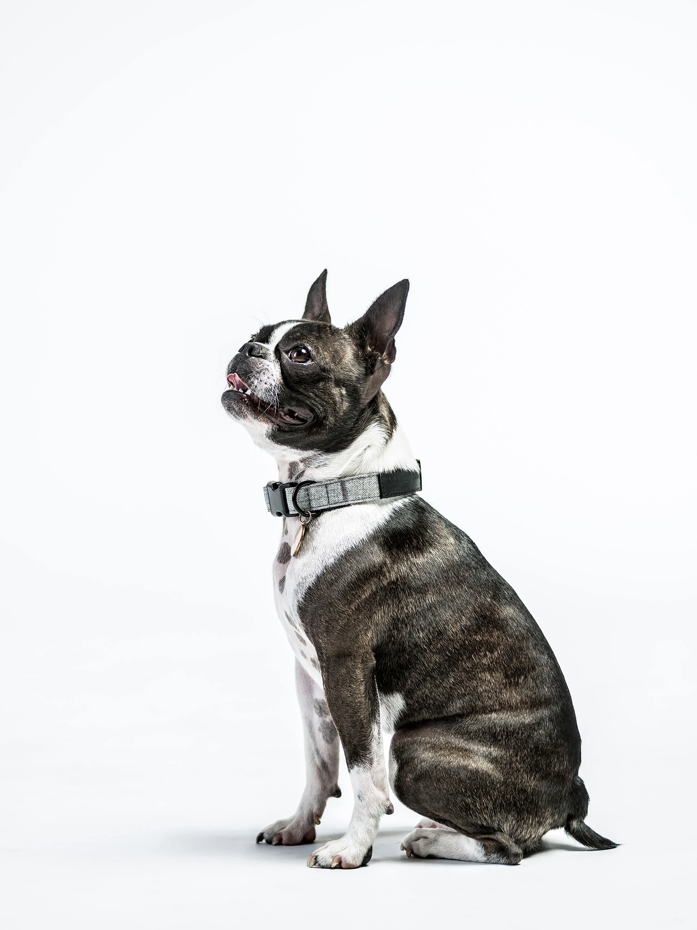 HUNTER_AND_HOUND-205.jpg