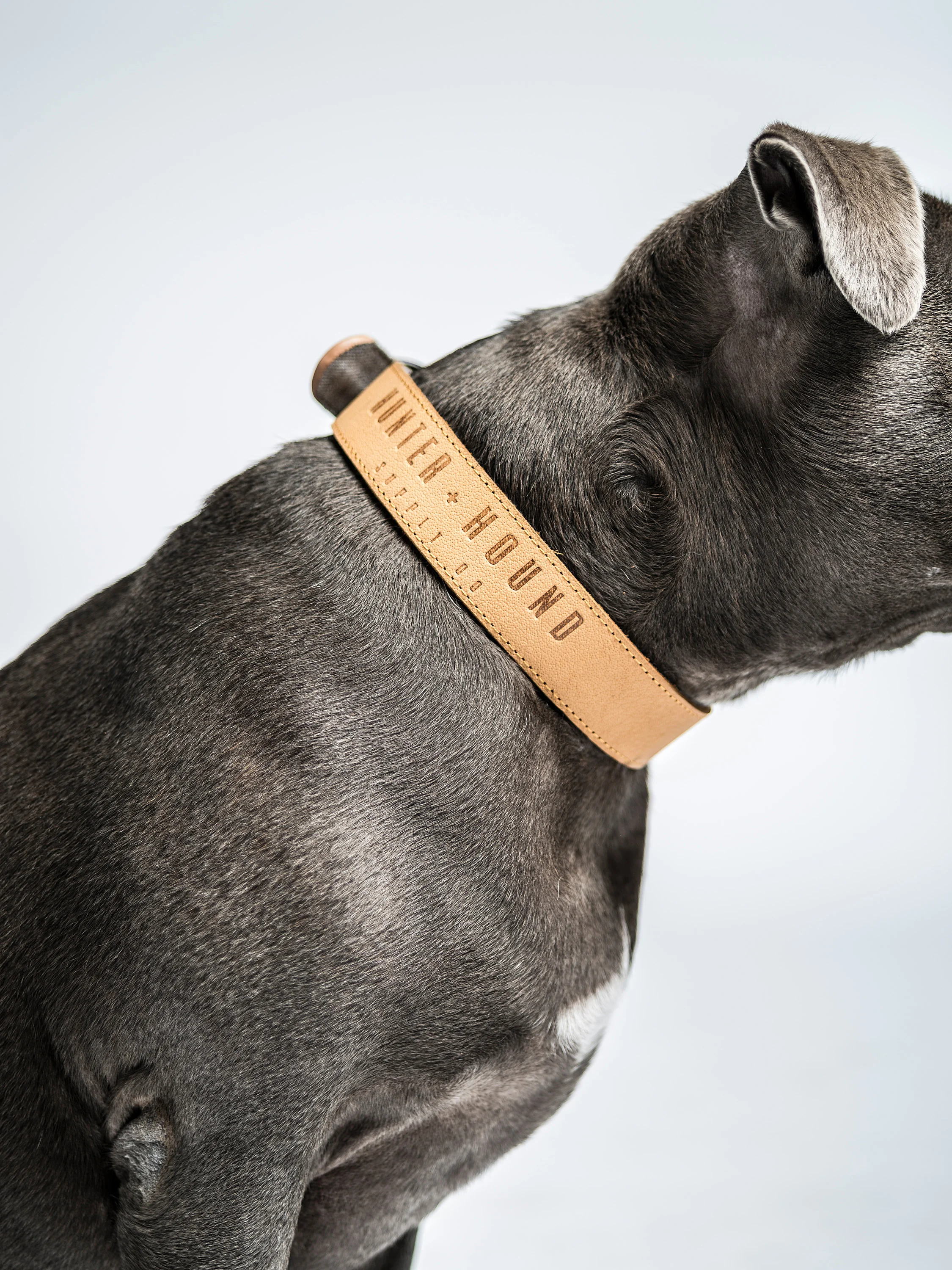 HUNTER_AND_HOUND-094.jpg