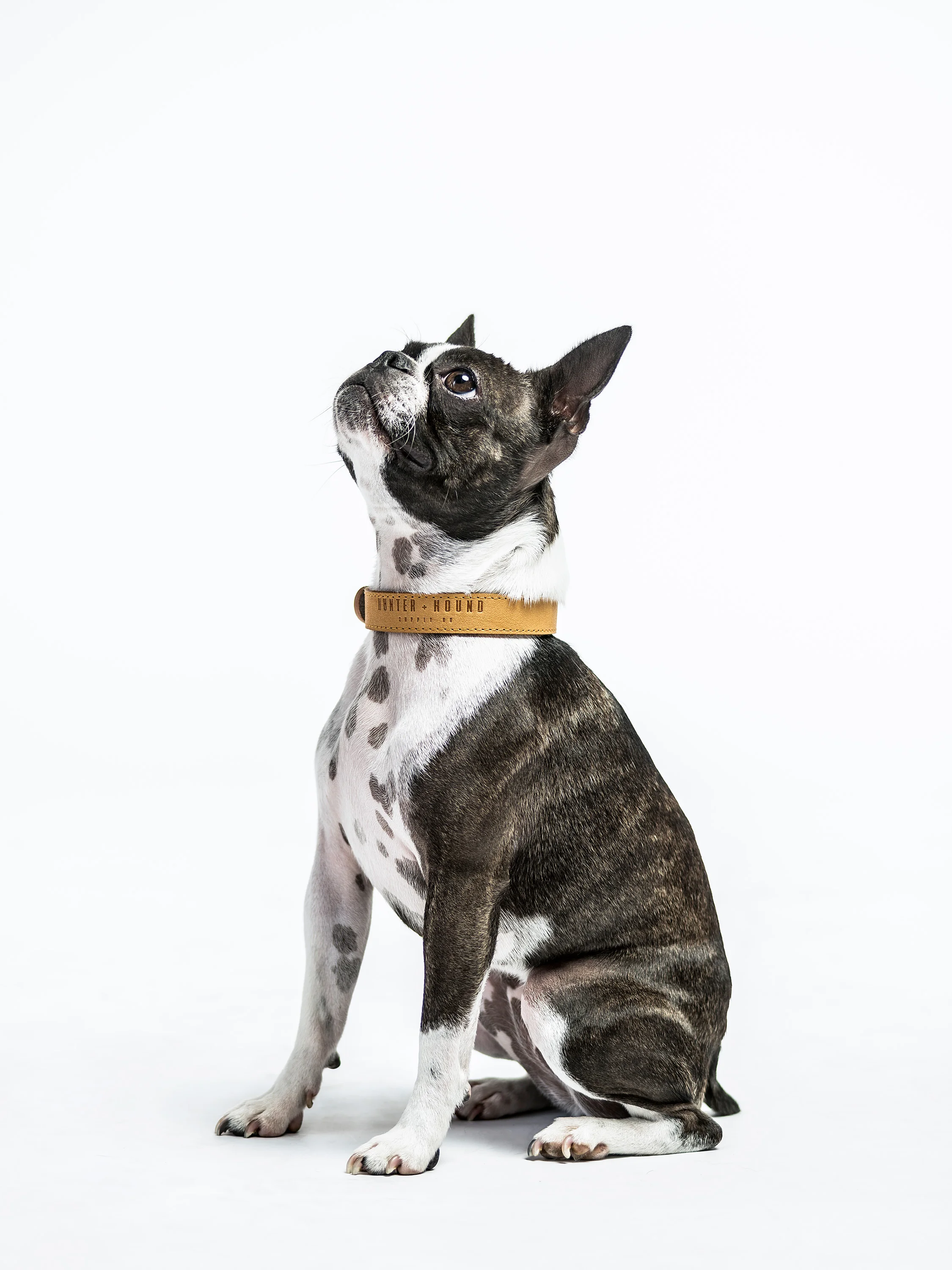 HUNTER_AND_HOUND-180.jpg
