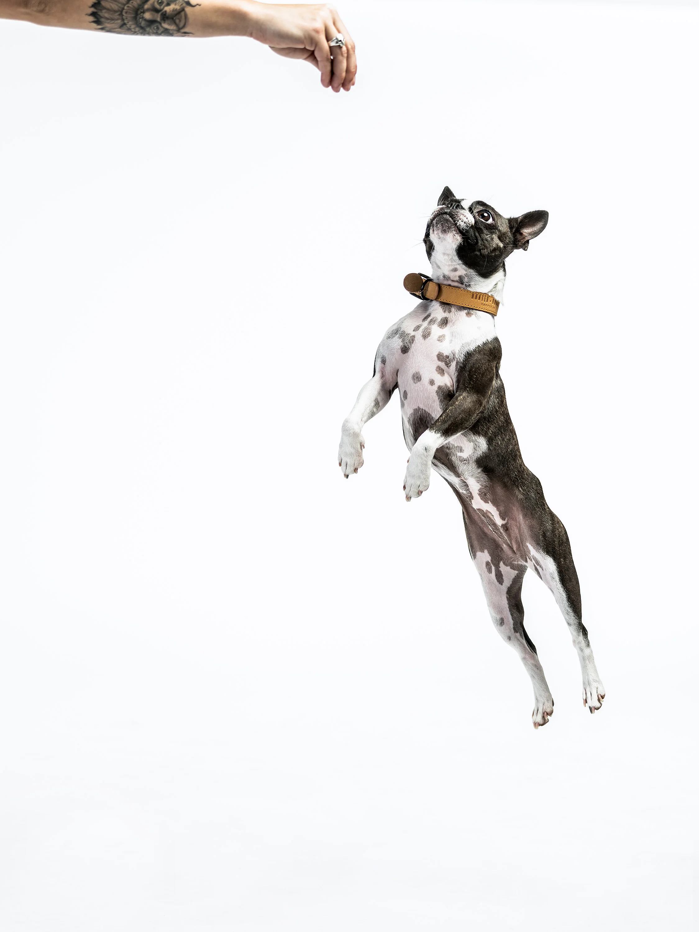 HUNTER_AND_HOUND-198.jpg