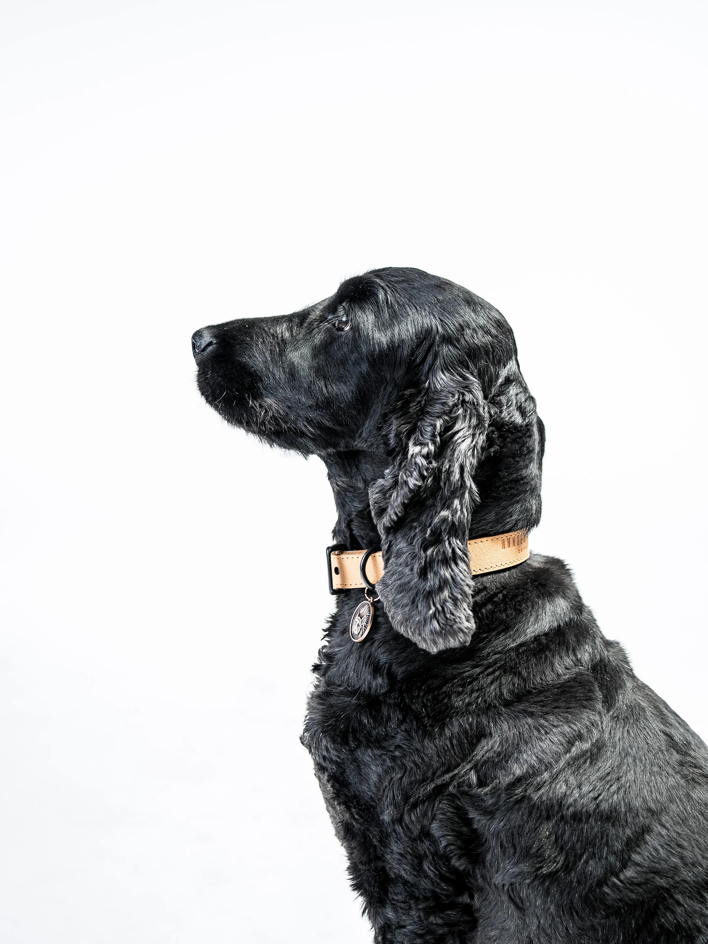 HUNTER_AND_HOUND-267.jpg