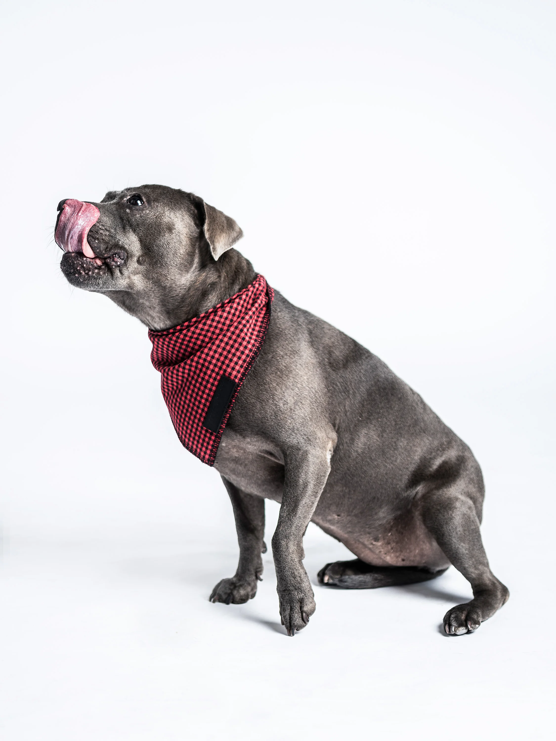 HUNTER_AND_HOUND-118.jpg