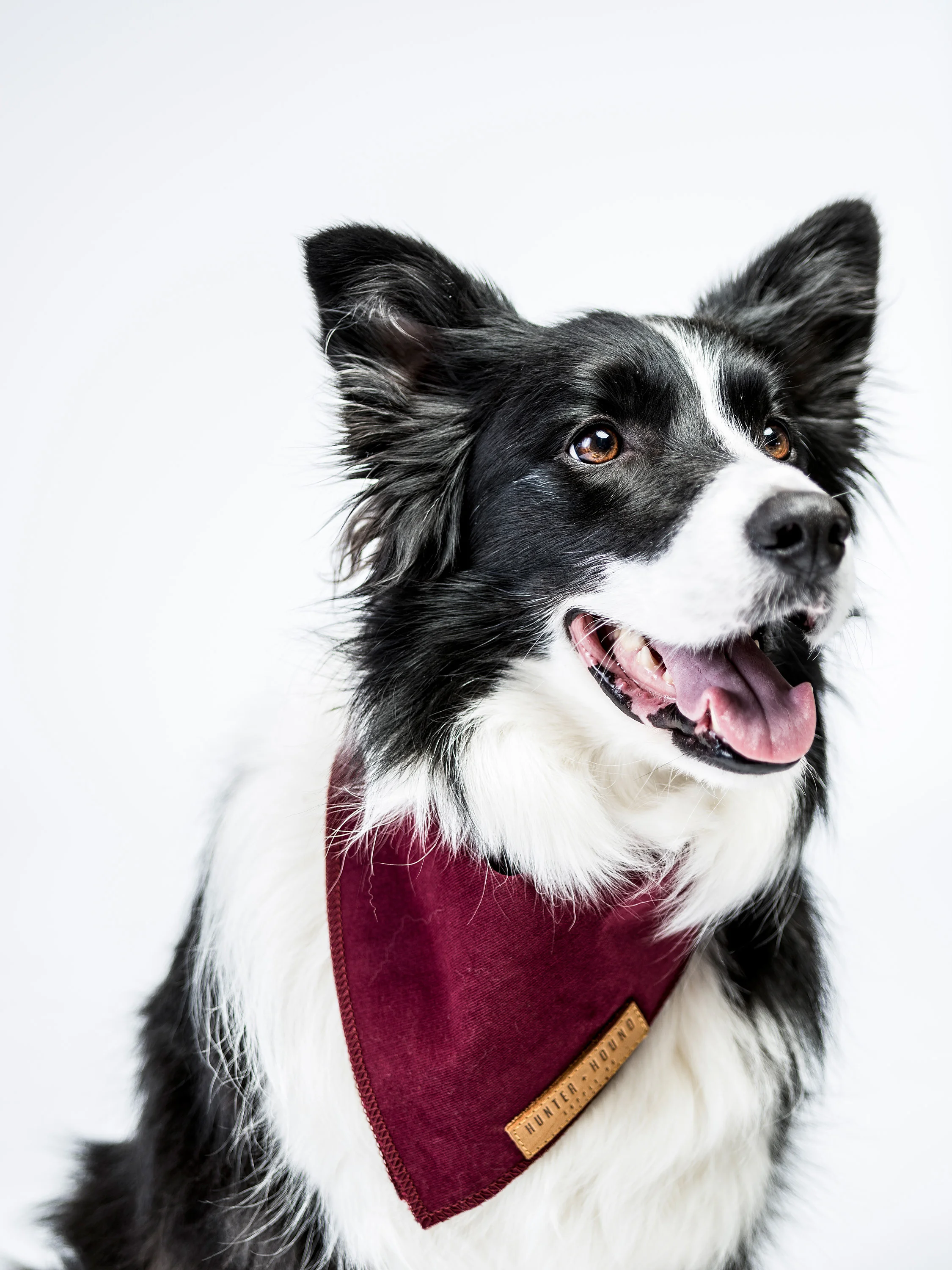 HUNTER_AND_HOUND-150.jpg