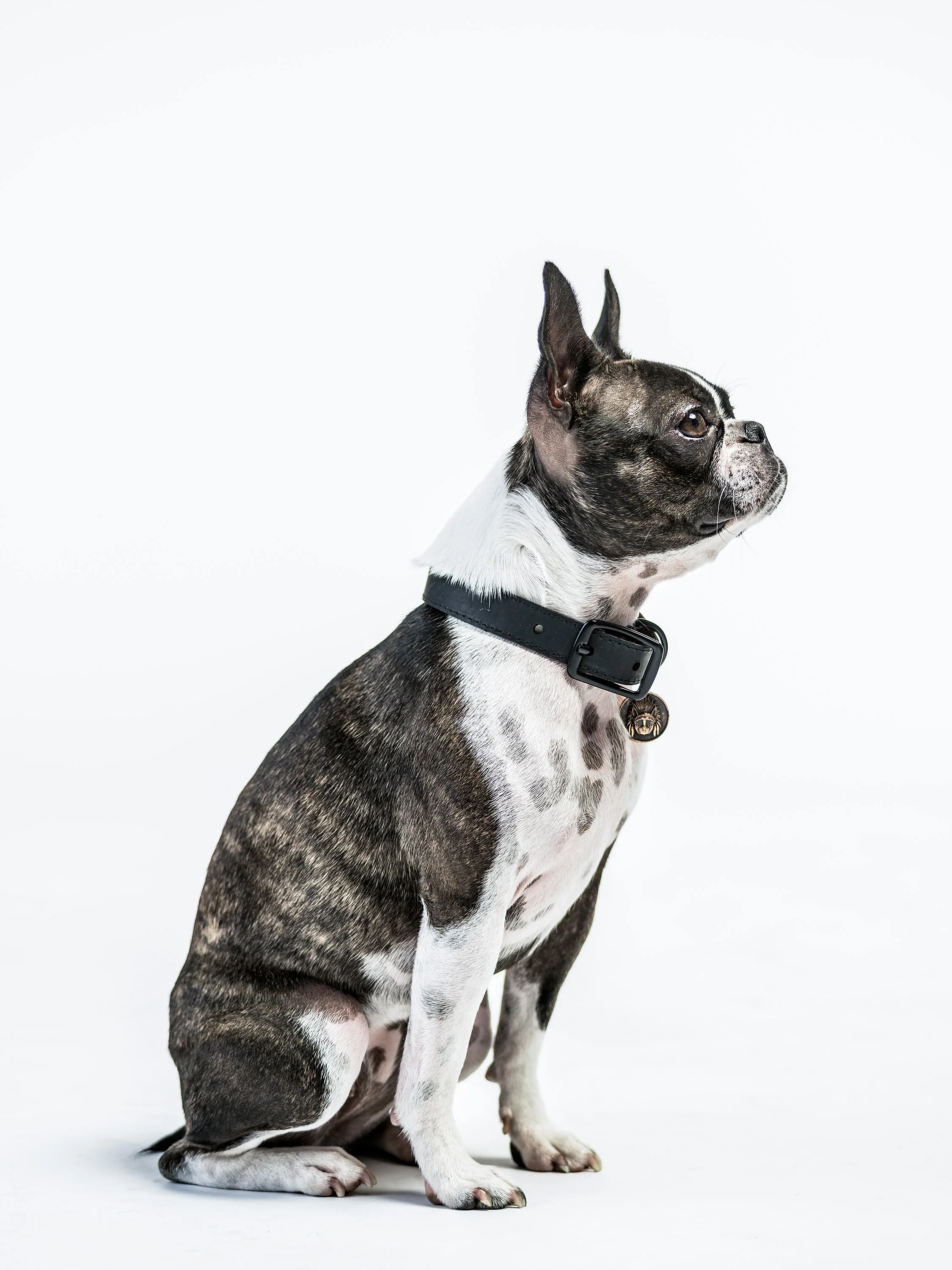 HUNTER_AND_HOUND-225.jpg