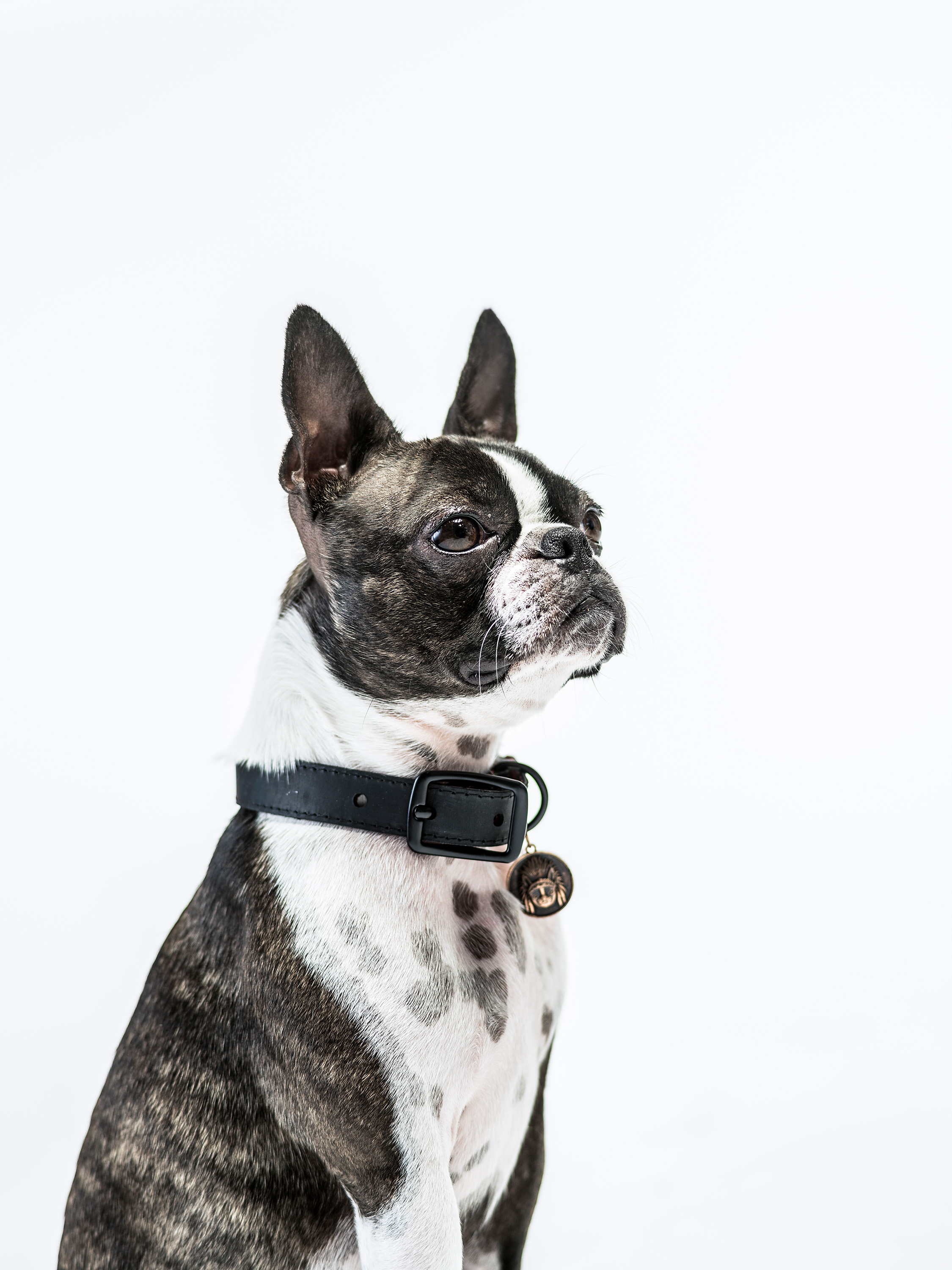 HUNTER_AND_HOUND-230.jpg