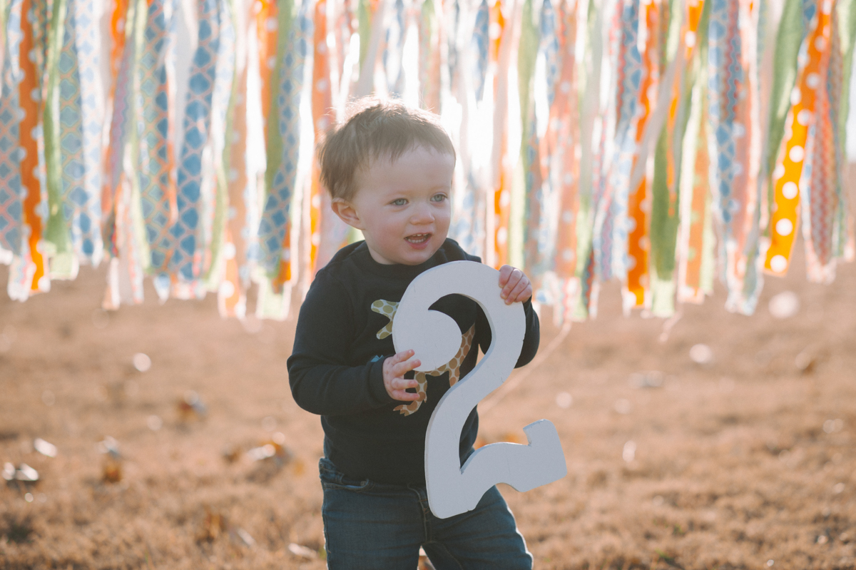 Two Year Old Child Birthday Photography