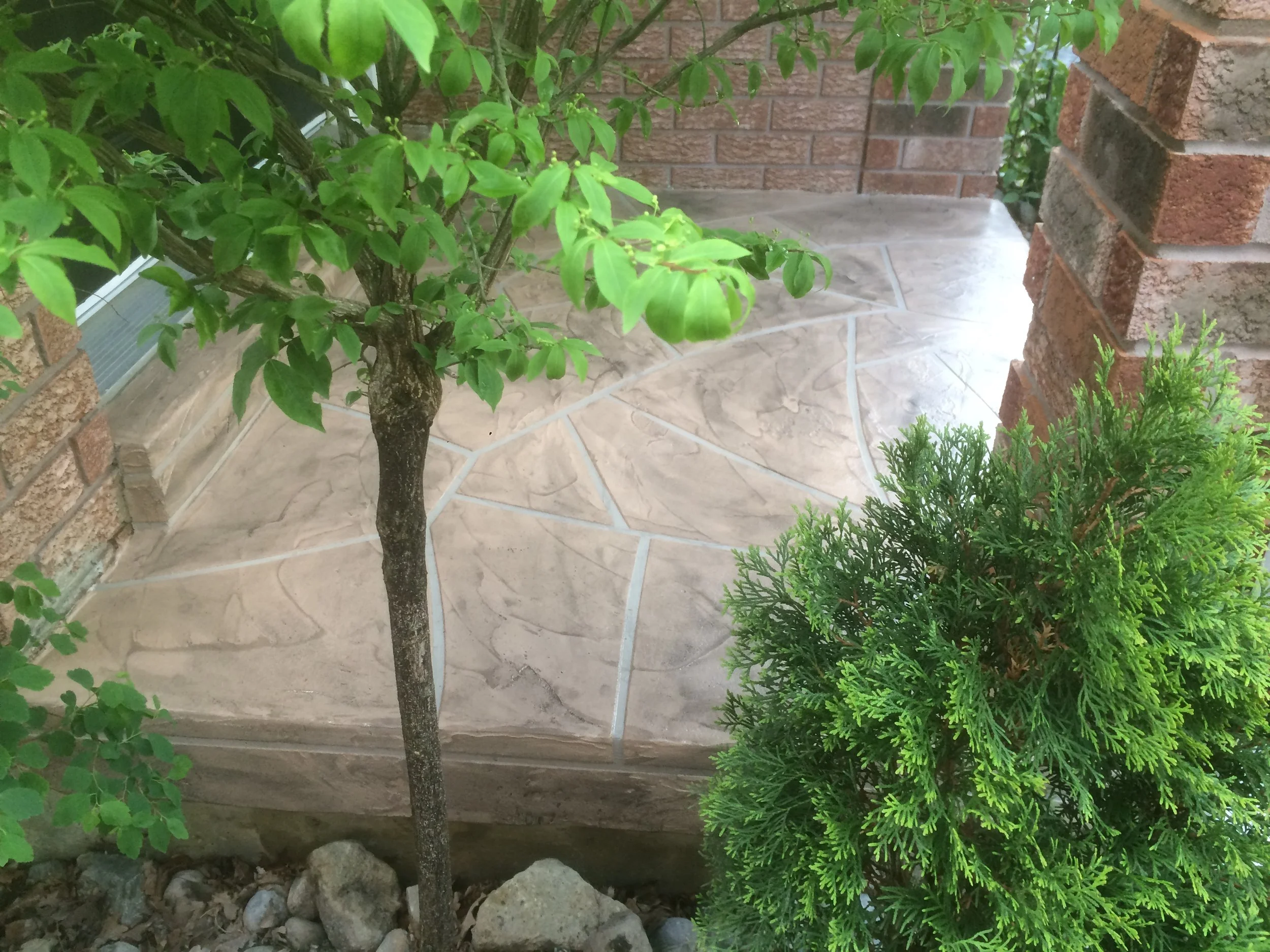 2017-05-18 19.23.34.jpg