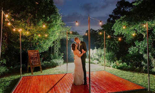 Festoon-Clear-Lights-2.jpg