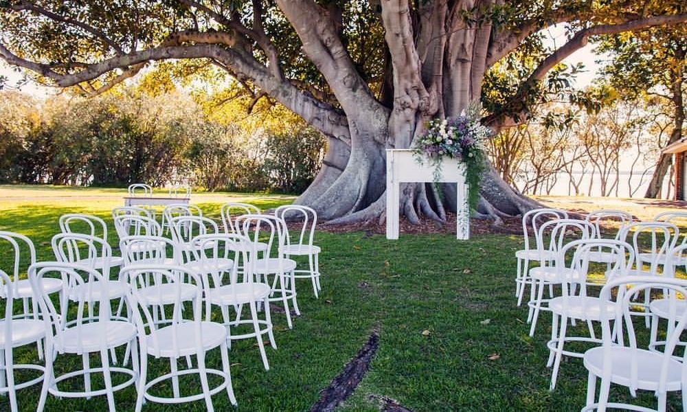  White Bentwood chairs 