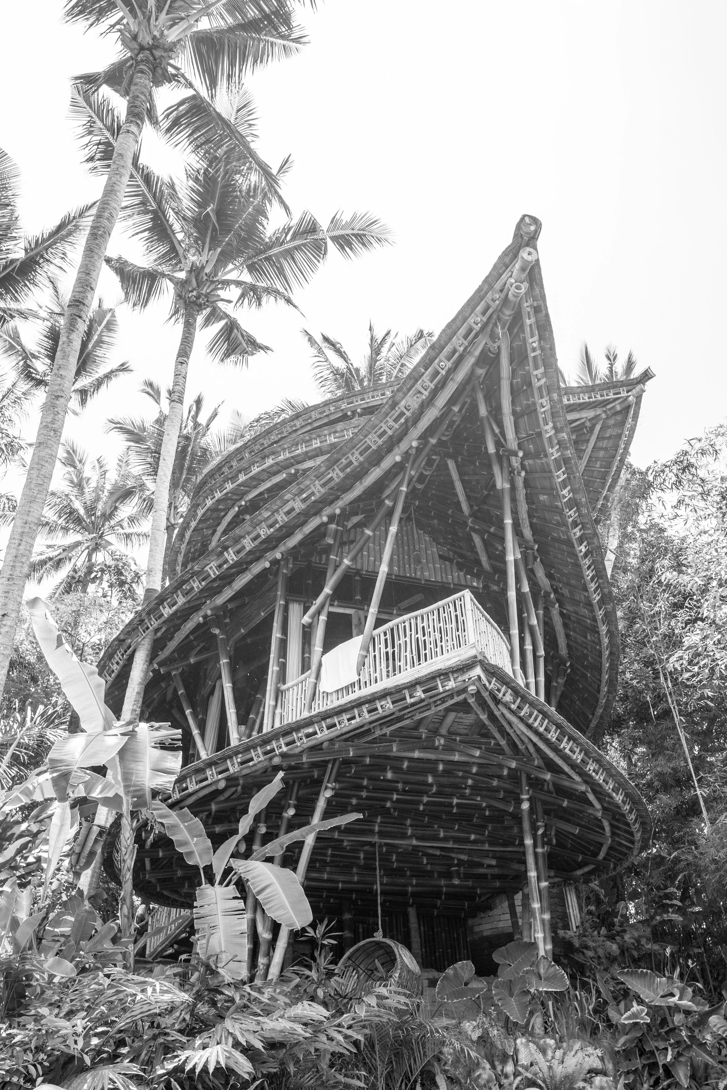 Green Village_Mono_-1.jpg