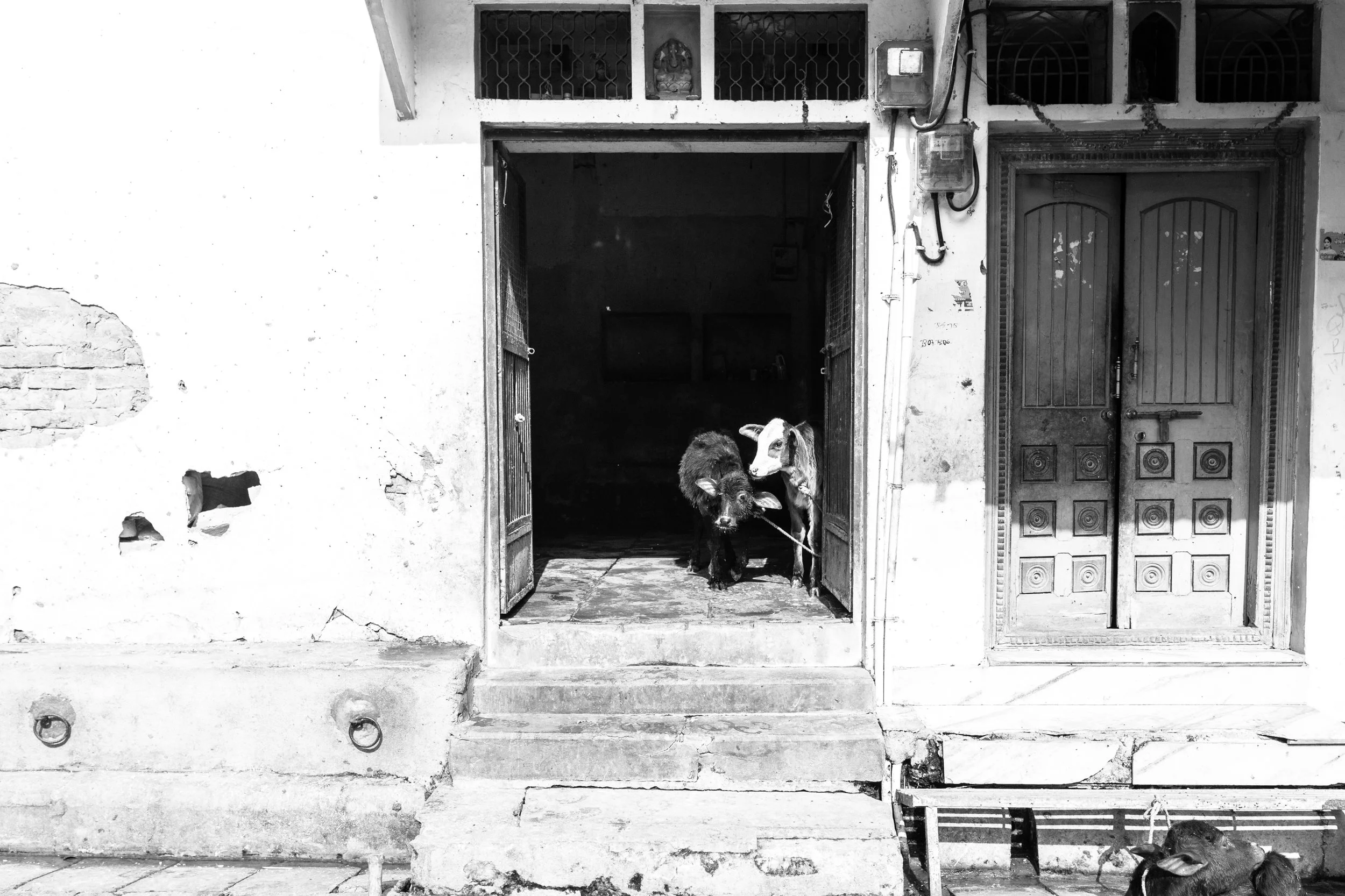 Babies in the Doorway_Varanasi_Mono_-2.jpg