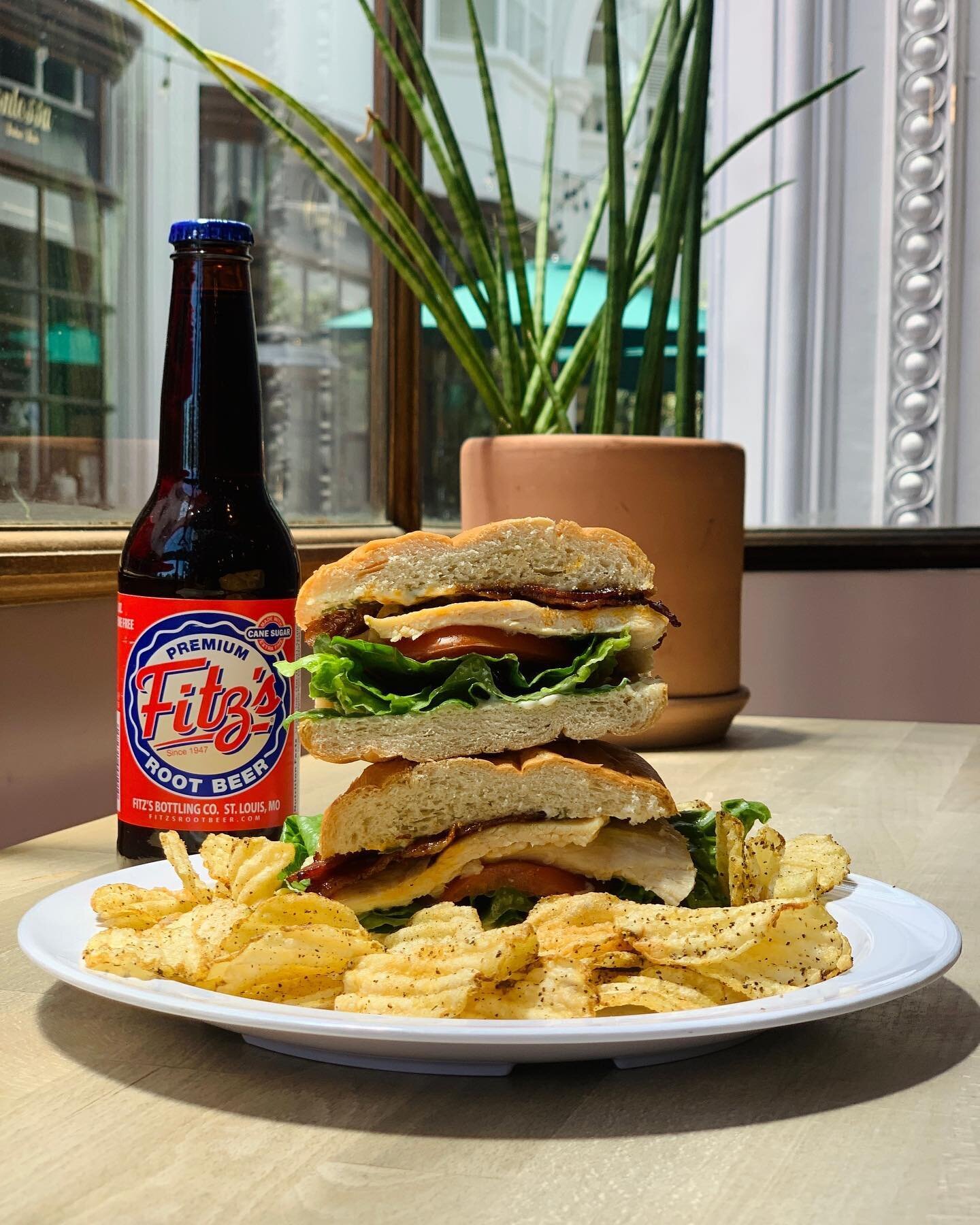 Another one of our popular sandwiches: The Chicken Rosemary Club with garlic aioli and rosemary mayo⠀
⠀
⠀
⠀
⠀
⠀
#floatcoffeeshop #floatpasadena #coffeehouse #coffeeshop #sandwichshop #sandwichesofinstagram #sandwichblog #chickenclub #chickensandwich 