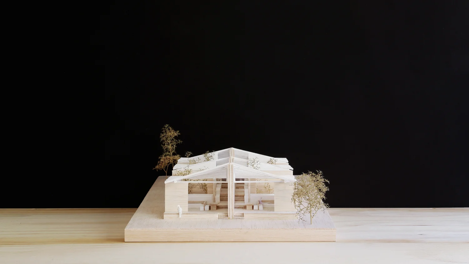 Trias Half A House