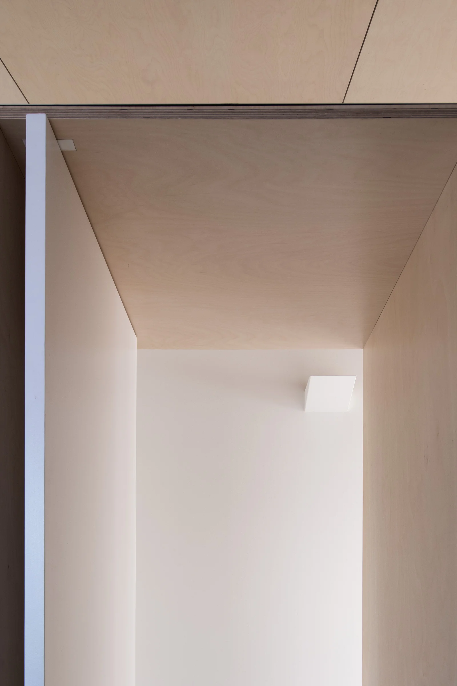 SYDNEY-RESIDENTIAL-ARCHITECT-TRIAS-STUDIO-THREE-PIECE-HOUSE-P19-BH.jpg