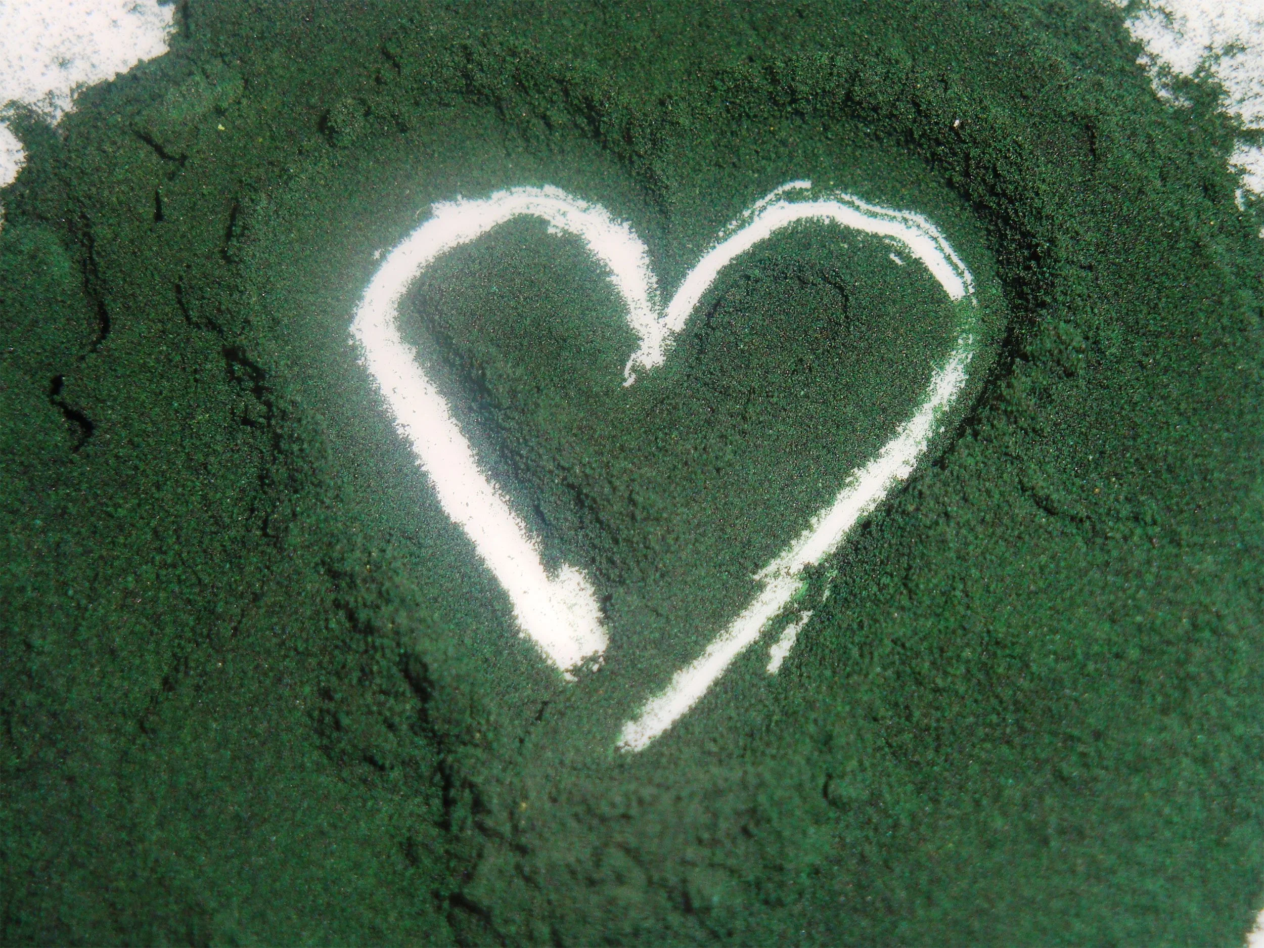 Spirulina-heart.jpg