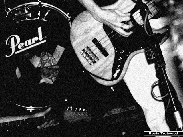 Photo Library - 204.jpg