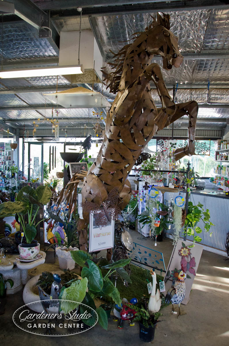 How about a 3.2m high horse? One of only 8 in Australia.