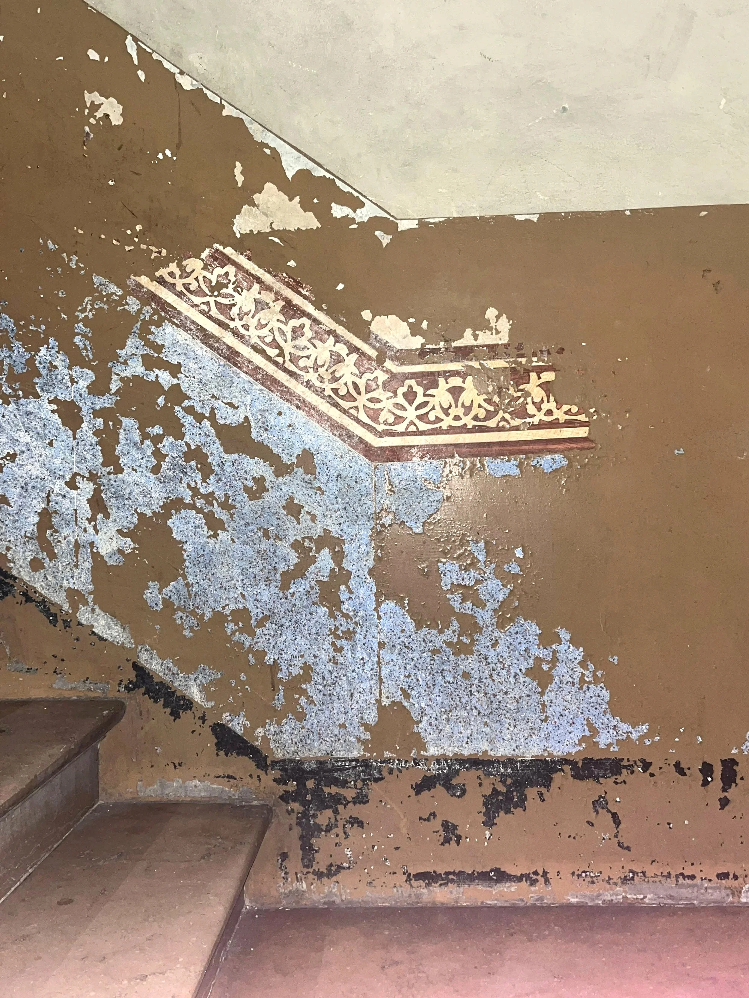 WhatsApp Image 2025-10-21 at 17.29.04.jpg