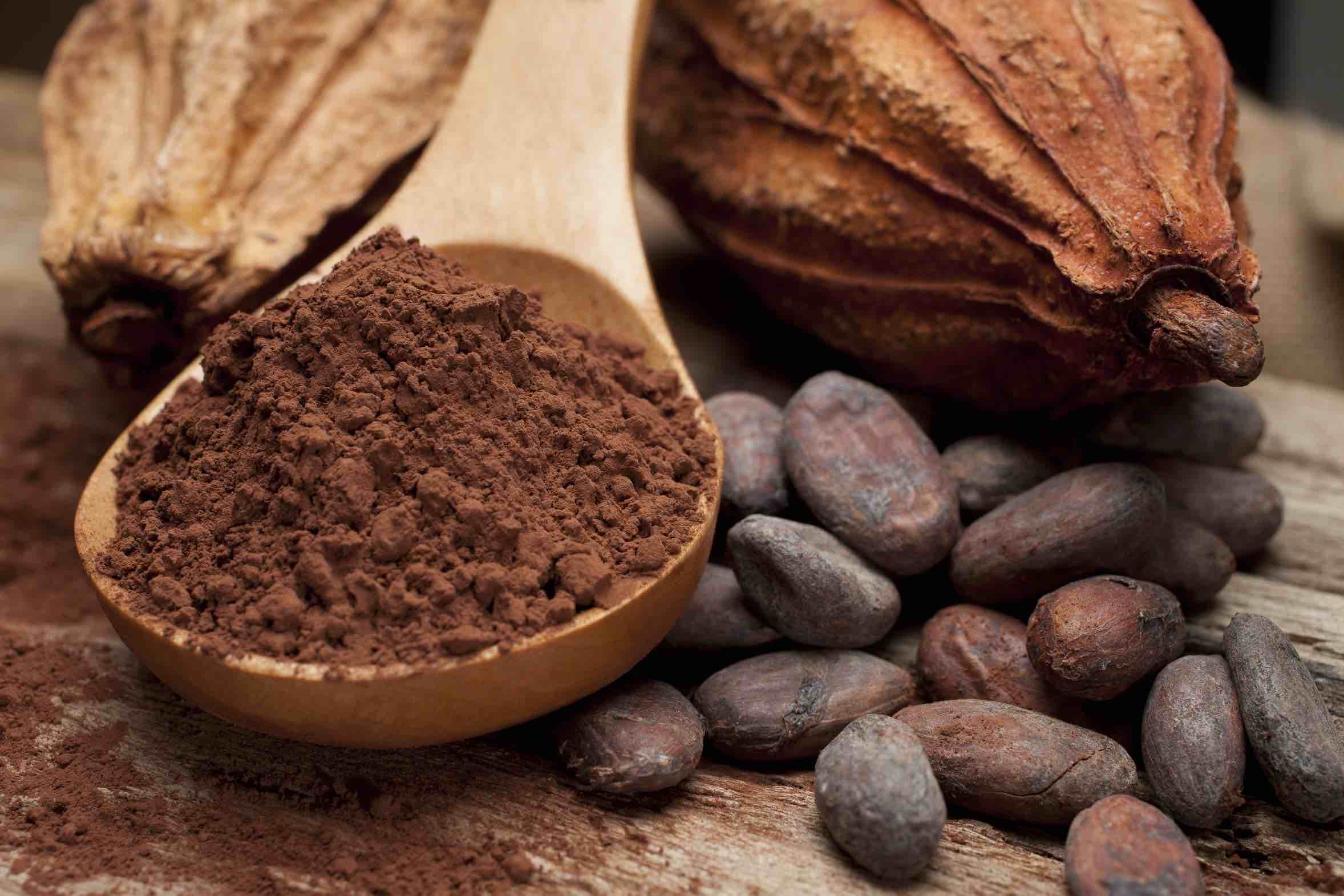Cocoa Powder copy.jpg