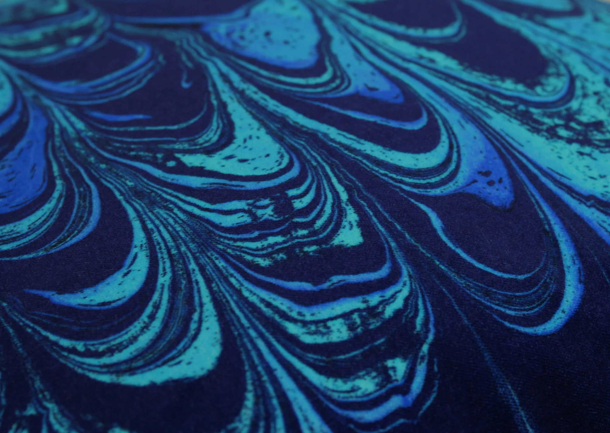 ocean cushion close up