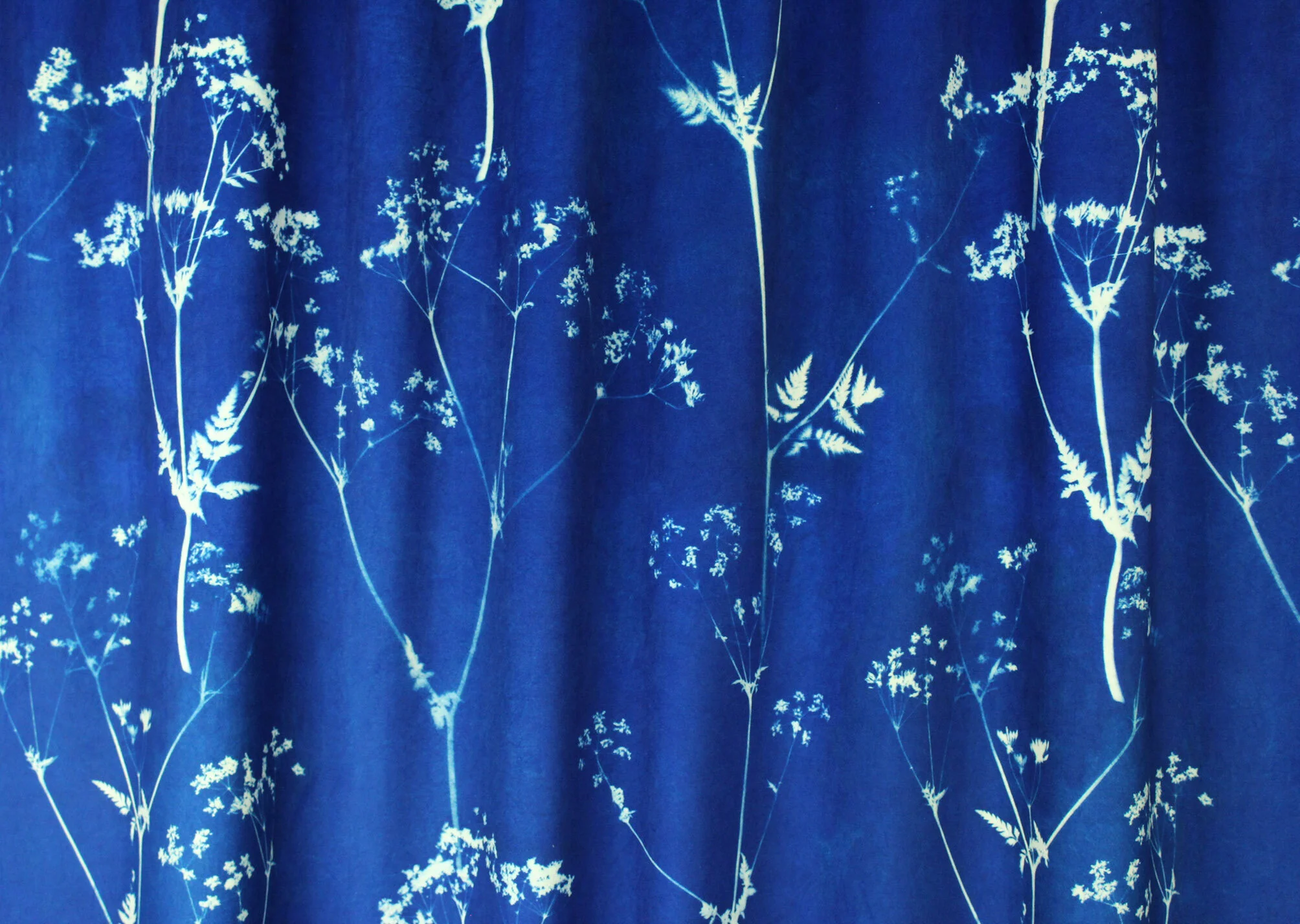 meadow detail 8.jpg