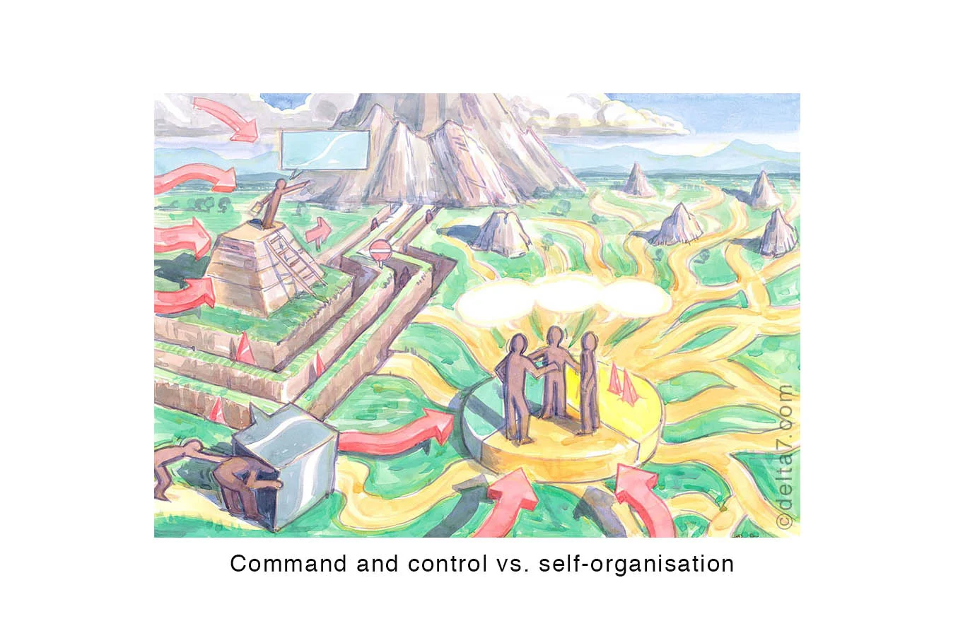 Command and control vs . self-organisation