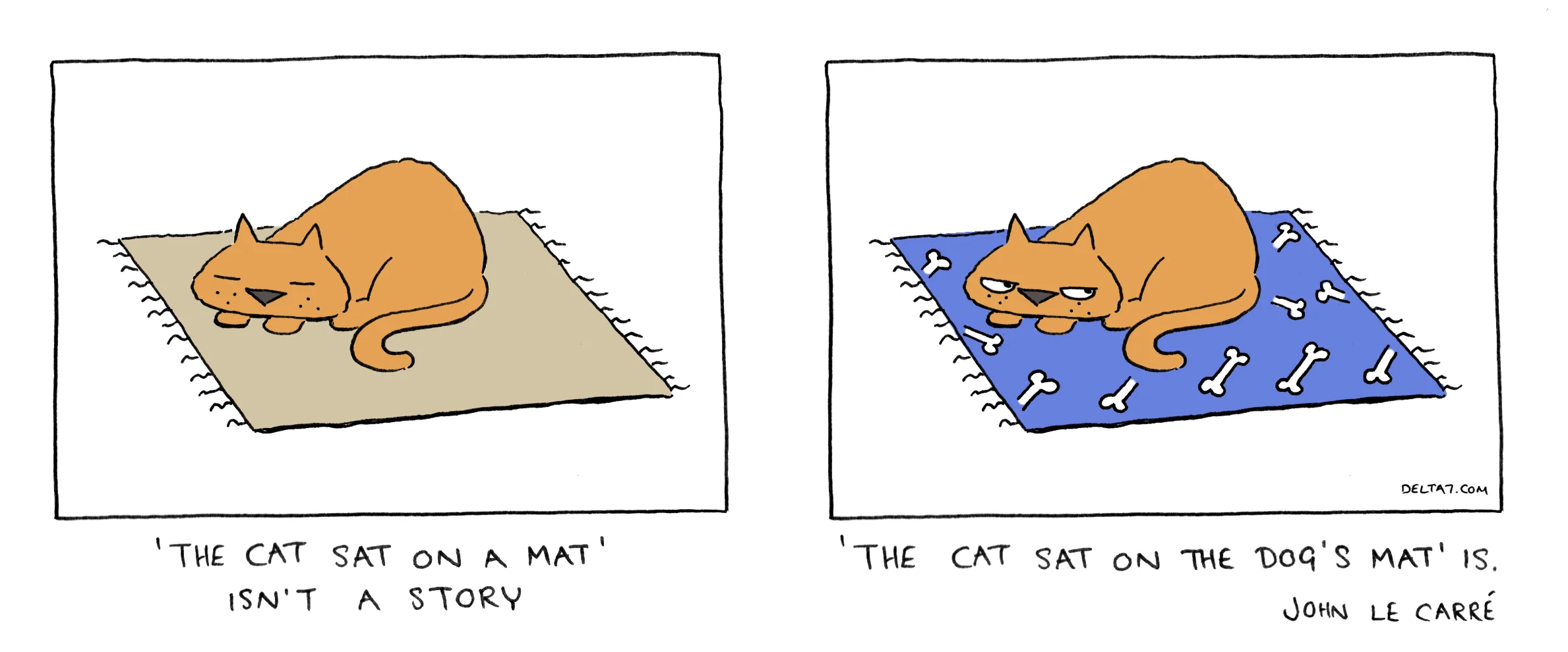 cat.jpg
