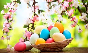 immagine pasqua.jpg