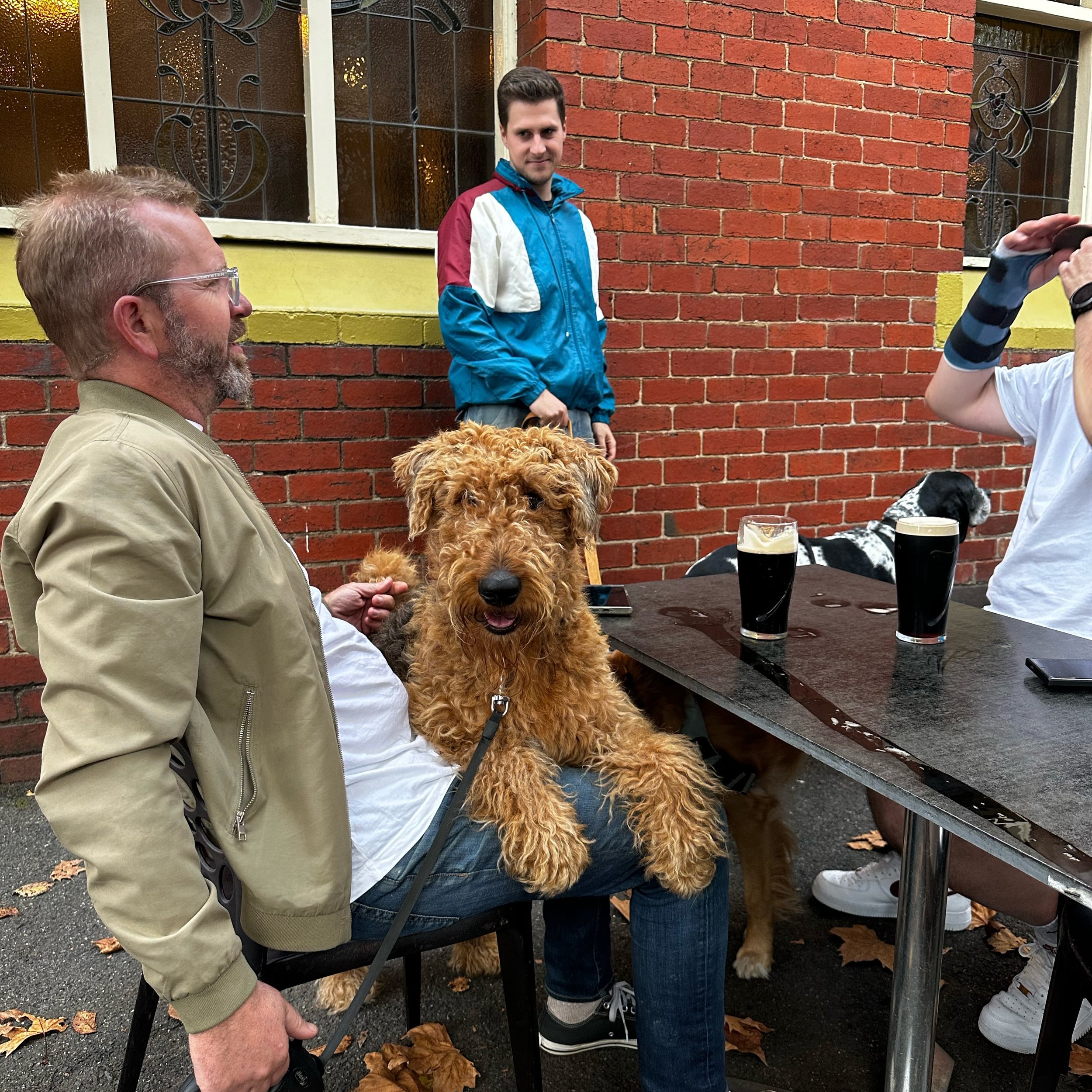 It&rsquo;s Saturday, put your paws up, come in and lap up a drink or two. 

.
.
.
.
.
.
.
.
.
.
.

#Fitzroy #Pub #Saturday #PubGrub