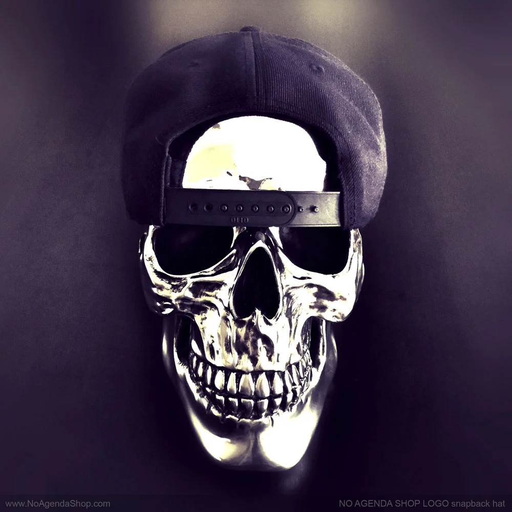NoAgendaShop_snapback_hat_back_01B.jpg