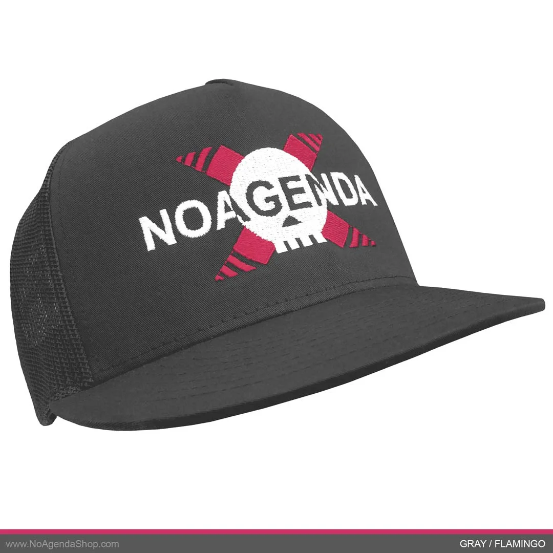 NAshop_HearNoAgenda_trucker_gray_flamingo_01A.jpg