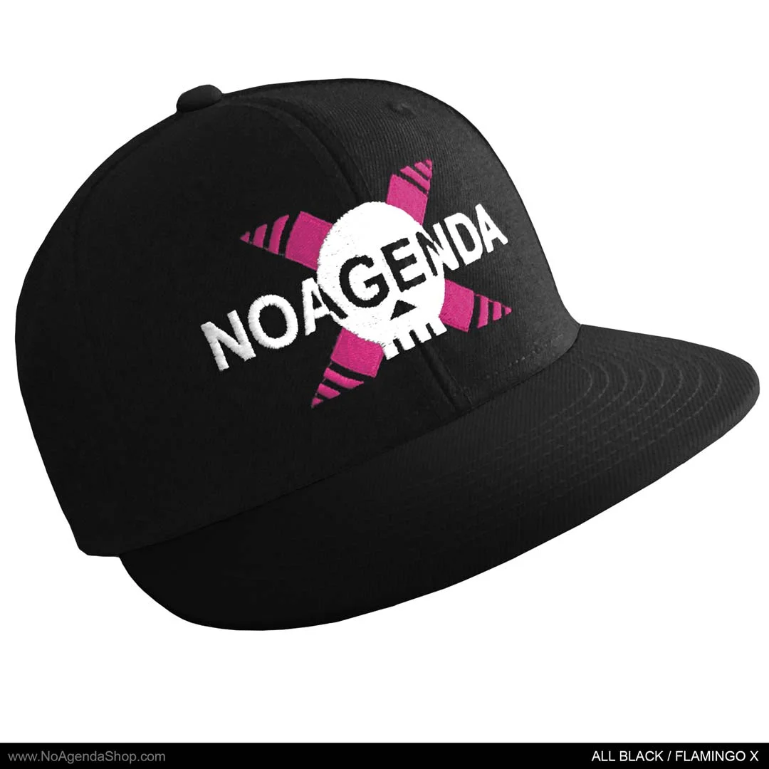NAshop_HearNoAgenda_snapback_ALLblack_flamingoX_02A.jpg