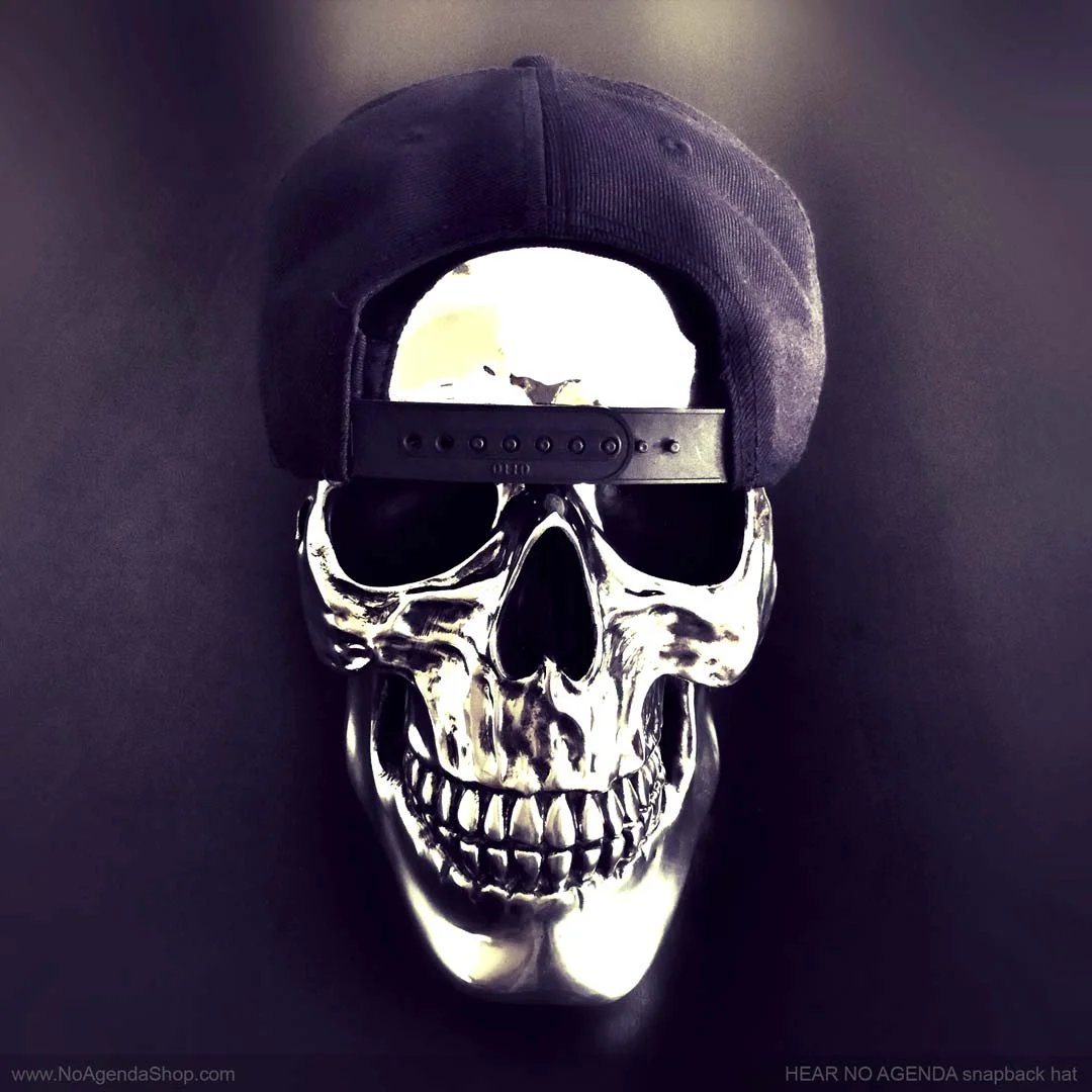 NAshop_HearNoAgenda_snapback_rear_01A.jpg