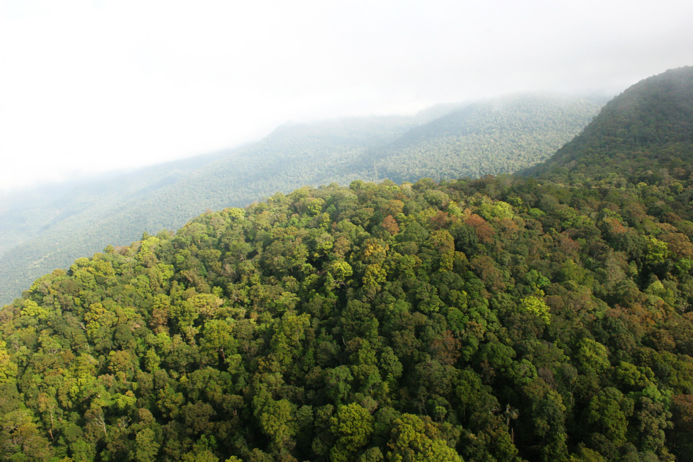 CARDAMOM MOUNTAINS, CAMBODIA