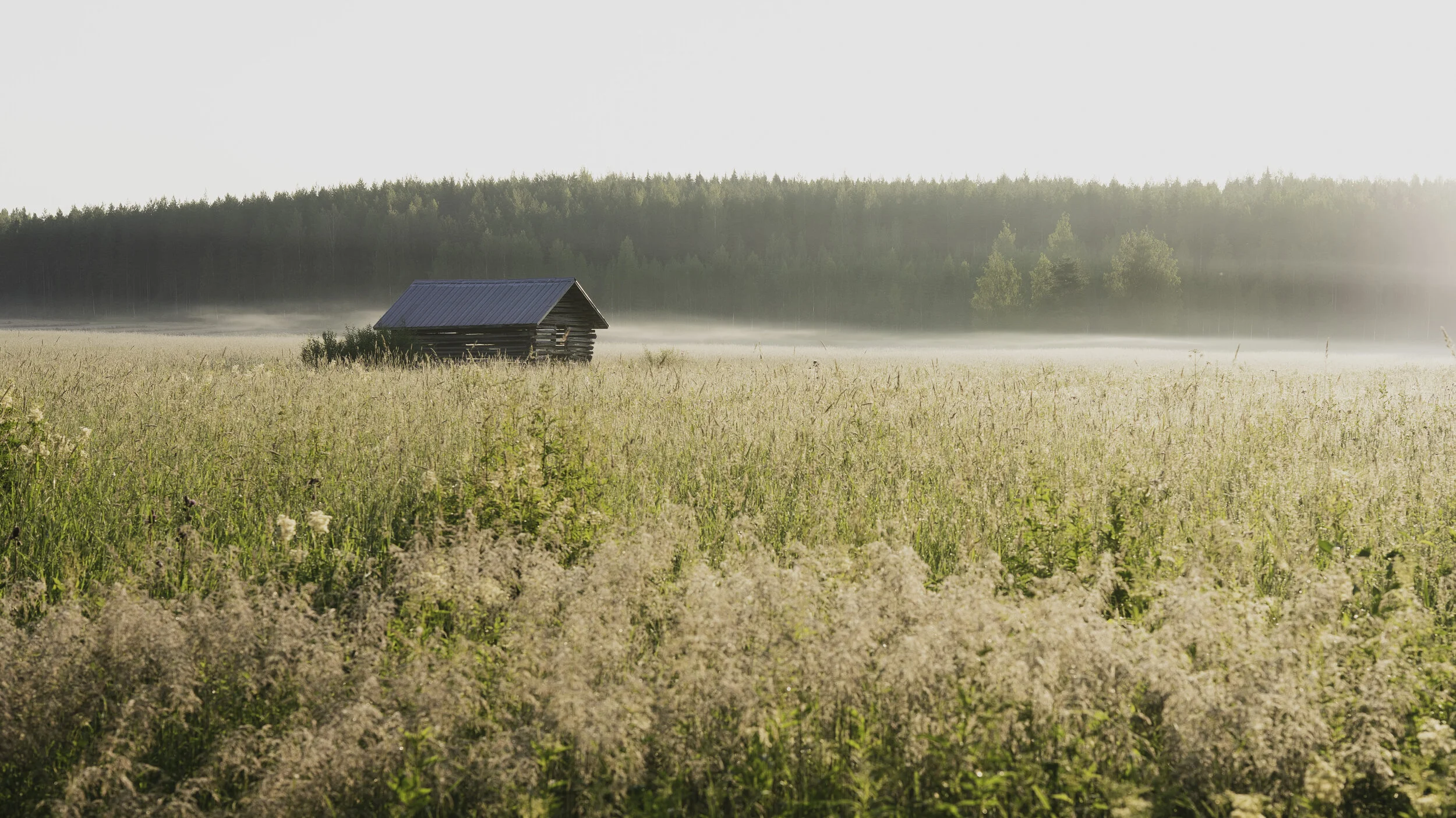 Hirviniemi heinäkuu-03.jpg