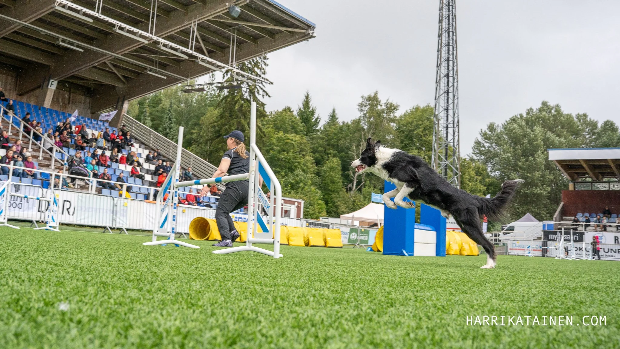 Agility SM 2025-011.jpg