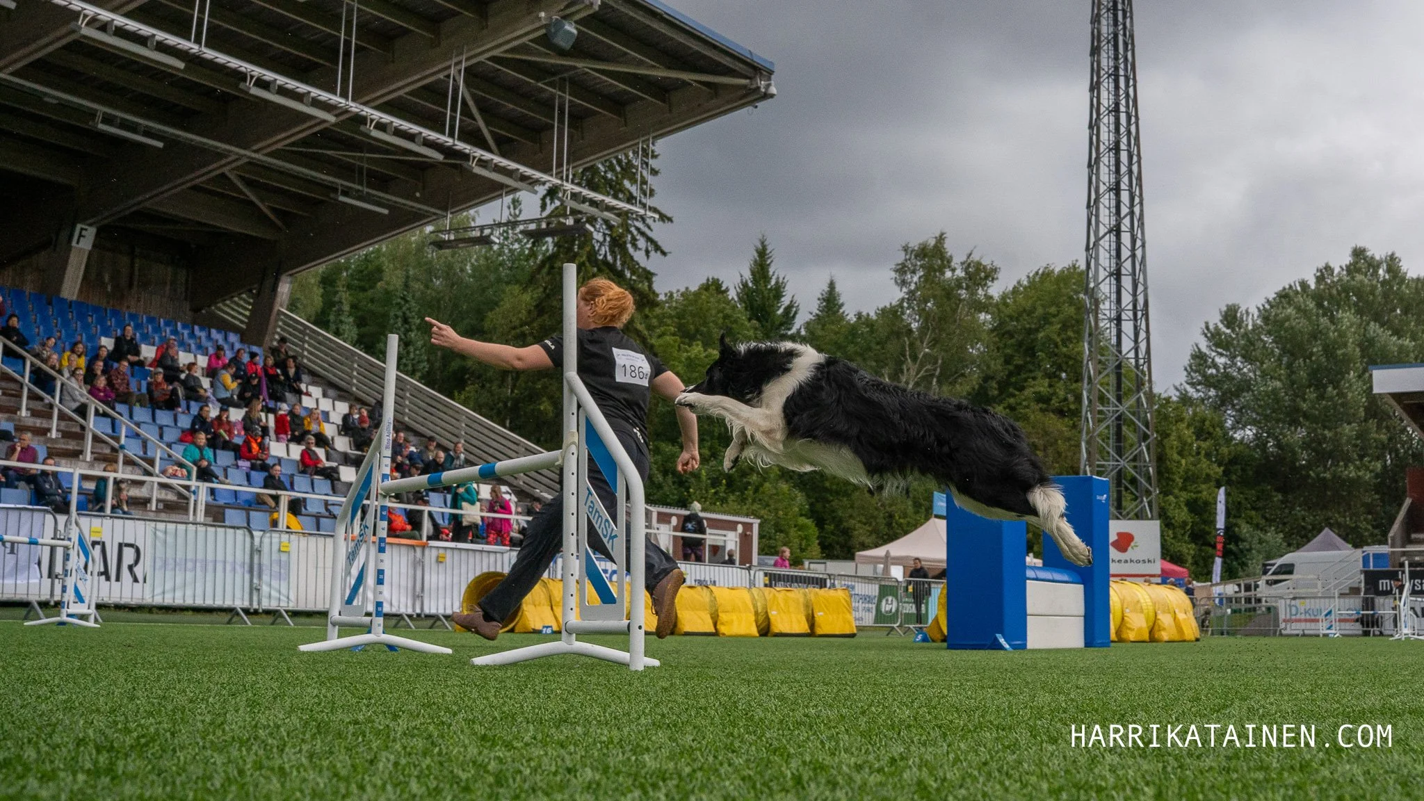 Agility SM 2025-017.jpg