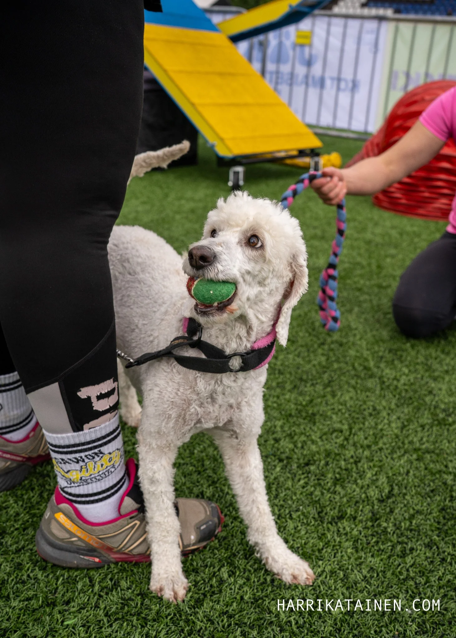 Agility SM 2025-041.jpg