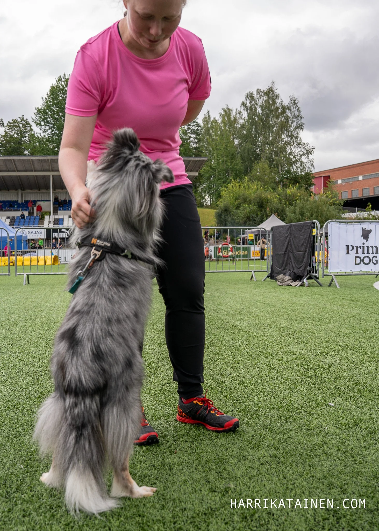 Agility SM 2025-043.jpg