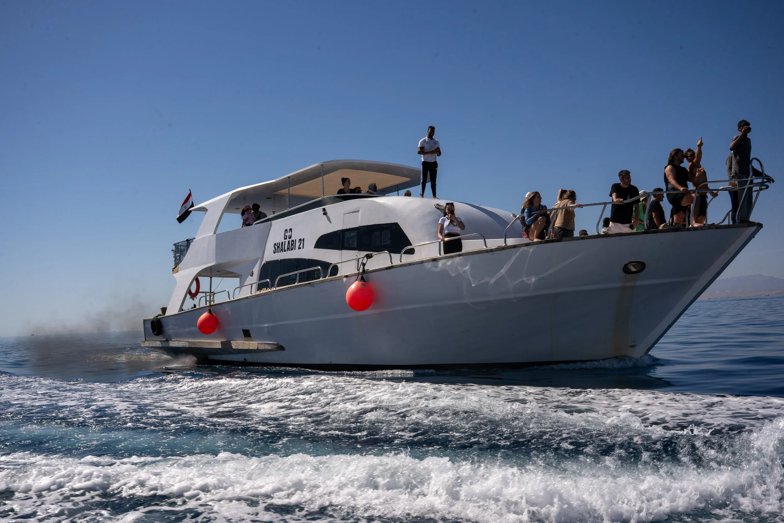 Delffiini safari-10.jpg